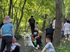 -紫金山山顶公园