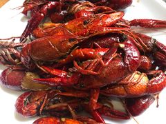 -兴芮温泉度假区