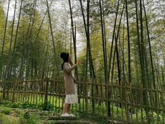 -宁波浙东大竹海景区