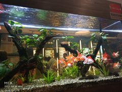 -大家乐(广州荔湾领展广场店)