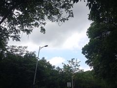 -火炉山森林公园