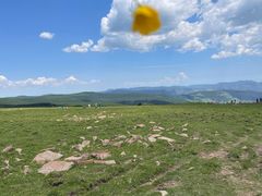 -芦芽山旅游度假区