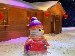 -宁波冰雪大世界(北仑区)