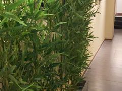 -耳艺采耳·足疗·按摩SPA(市桥店)