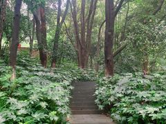 -杭州半山国家森林公园