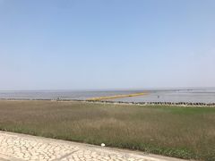 -南汇嘴观海公园