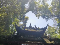 -青城山