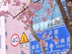 -静安雕塑公园