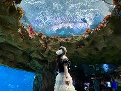 -南昌融创海世界