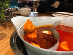 -青瓷火锅料理(西单大悦城店)