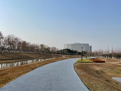 -春花秋色城市公园