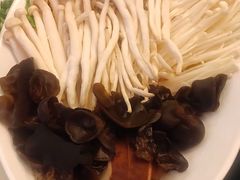 菌菇品牌-东来顺饭庄(天坛店)