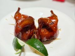 -觅唐MITONG(鸟巢店)