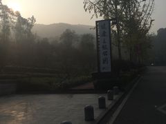 -铁山坪森林公园