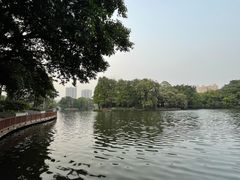 -荔湾湖公园