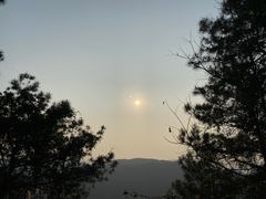 -铁山坪森林公园