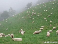 -金春禧(世茂国际广场店)