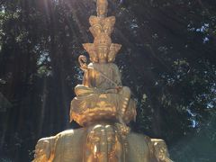 -太鲁阁公园