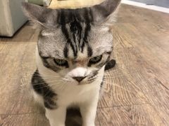 -小时光咖啡馆(开森度假森林店)