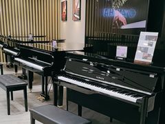-雅马哈乐器专卖店(广州旗舰店)