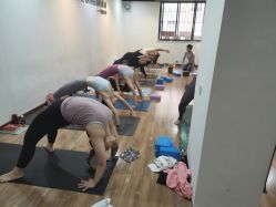 -兴亚瑜伽20年老馆