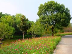 -梁鸿国家湿地公园