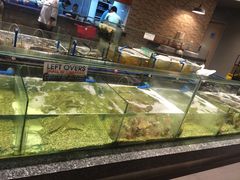 -Isla Sugbu Seafood City