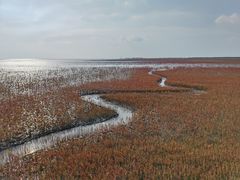 -红海滩国家风景廊道