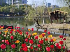 -杭州师范大学(下沙校区)