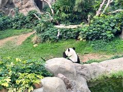 -香港海洋公园