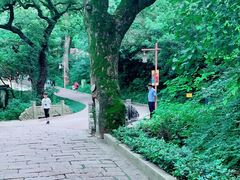 -普陀山风景区-佛顶山