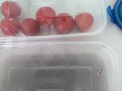 -上海市第五人民医院