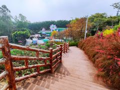 -广州莲花山旅游区