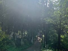 -莫干山风景区