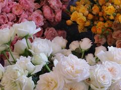 -知物癖(牛王庙店)
