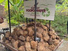 -大象粑粑造纸公园