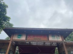 -海口火山口国家地质公园