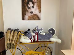 -Husky Go! 哈士奇体验馆·宠物咖啡厅狗咖