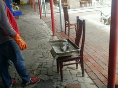 android_upload_pic-姥家大锅台水库渔家