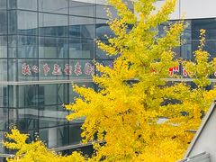 -杭州九堡客运中心