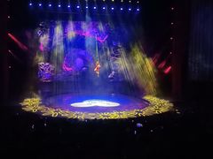 -水秀国际大剧院