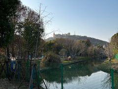 -上海佘山国家森林公园西佘山园