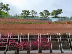 -香港大学