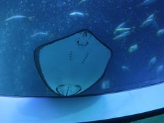 -珠海长隆海洋王国