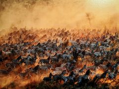 -罗红摄影艺术馆