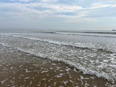 -日照海滨国家森林公园