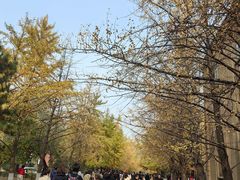 -辽宁大学(崇山校区)