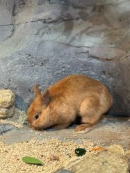 -Zoolung Zoolung动物主题公园(海信广场店)