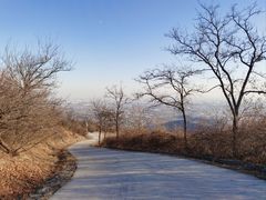 -北京西山国家森林公园