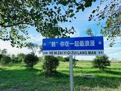 -盐城丹顶鹤湿地生态旅游区